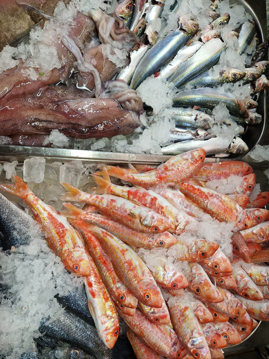 Sardines, mullet and octopus on ice