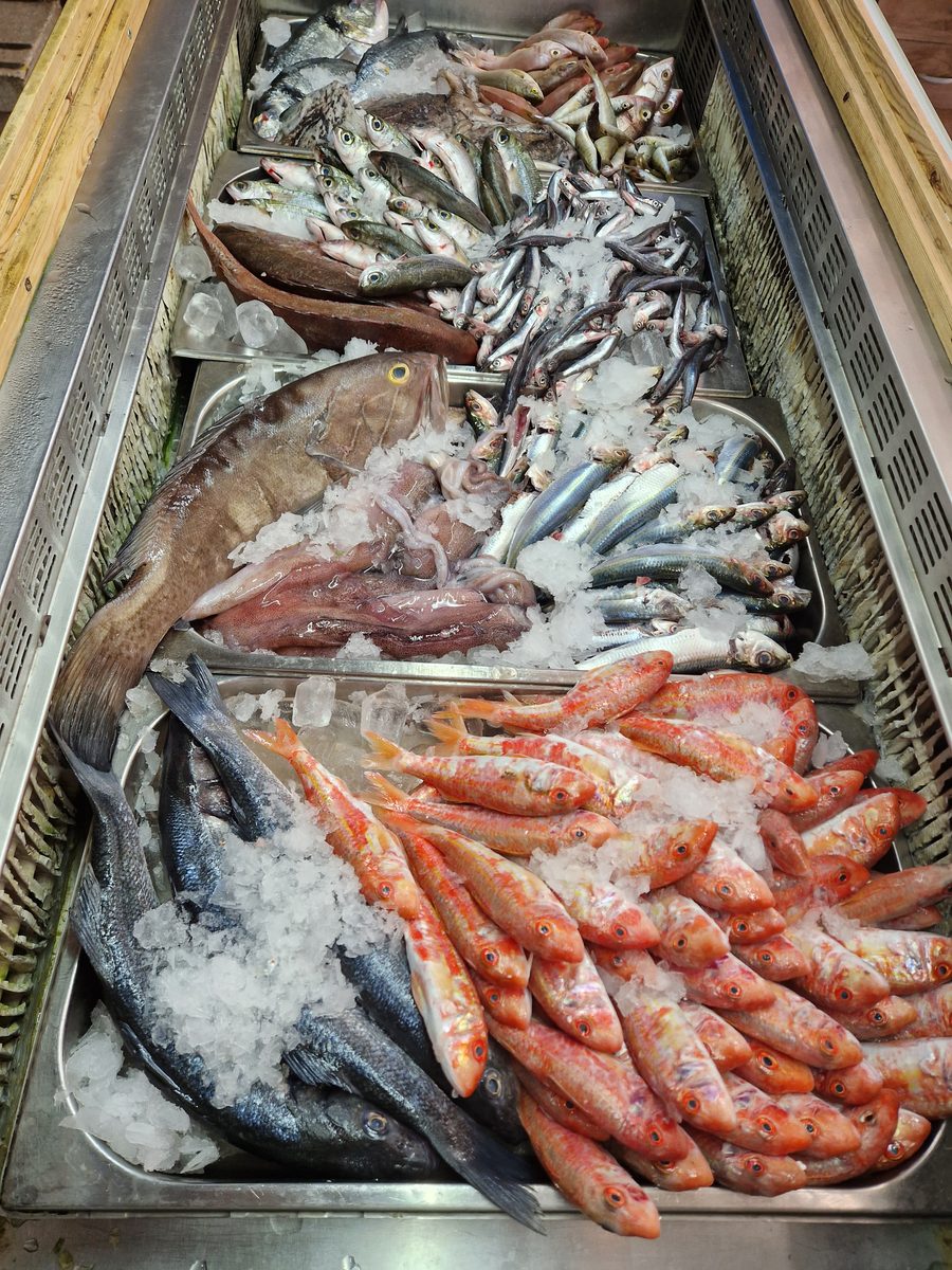 The fresh-fish display